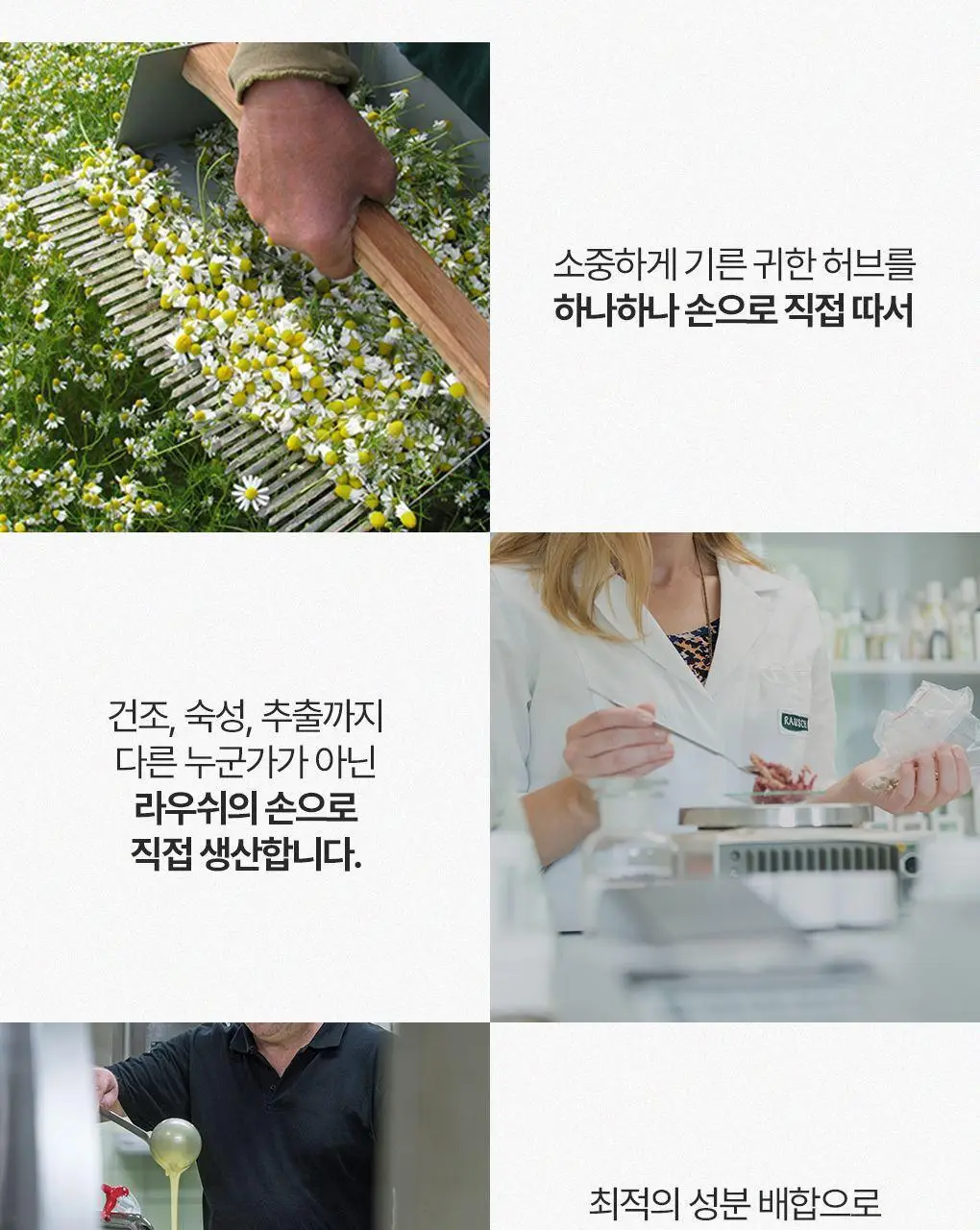 [두피뿌리볼륨]라우쉬 윌로우바크 트리트먼트 샴푸200ml&컨디셔너150ml 기획 상세페이지 12